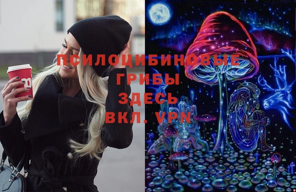 прущие грибы Алексеевка
